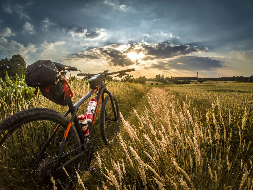 bike in a corn field with a sunny stormy sky